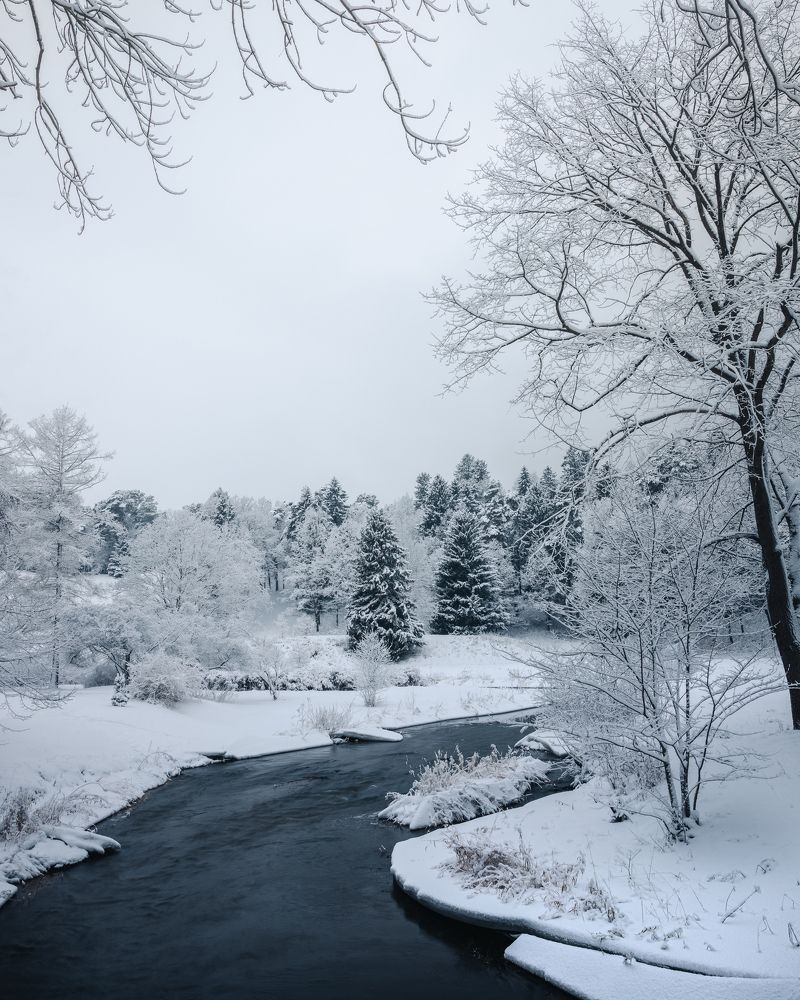 Photograph by Сергей Абраменков