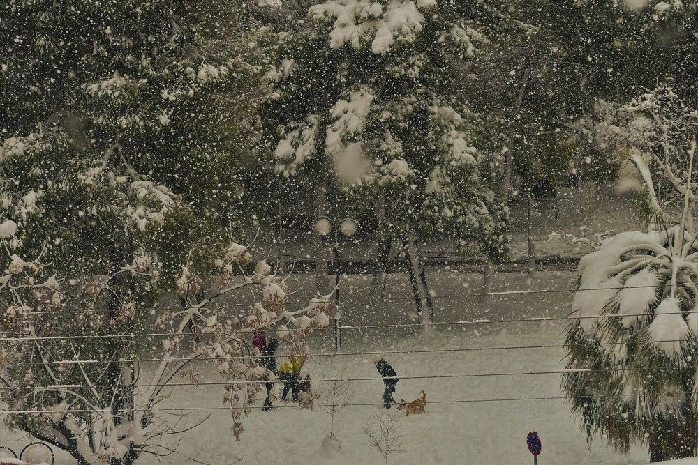 Photograph by Mageira Lia