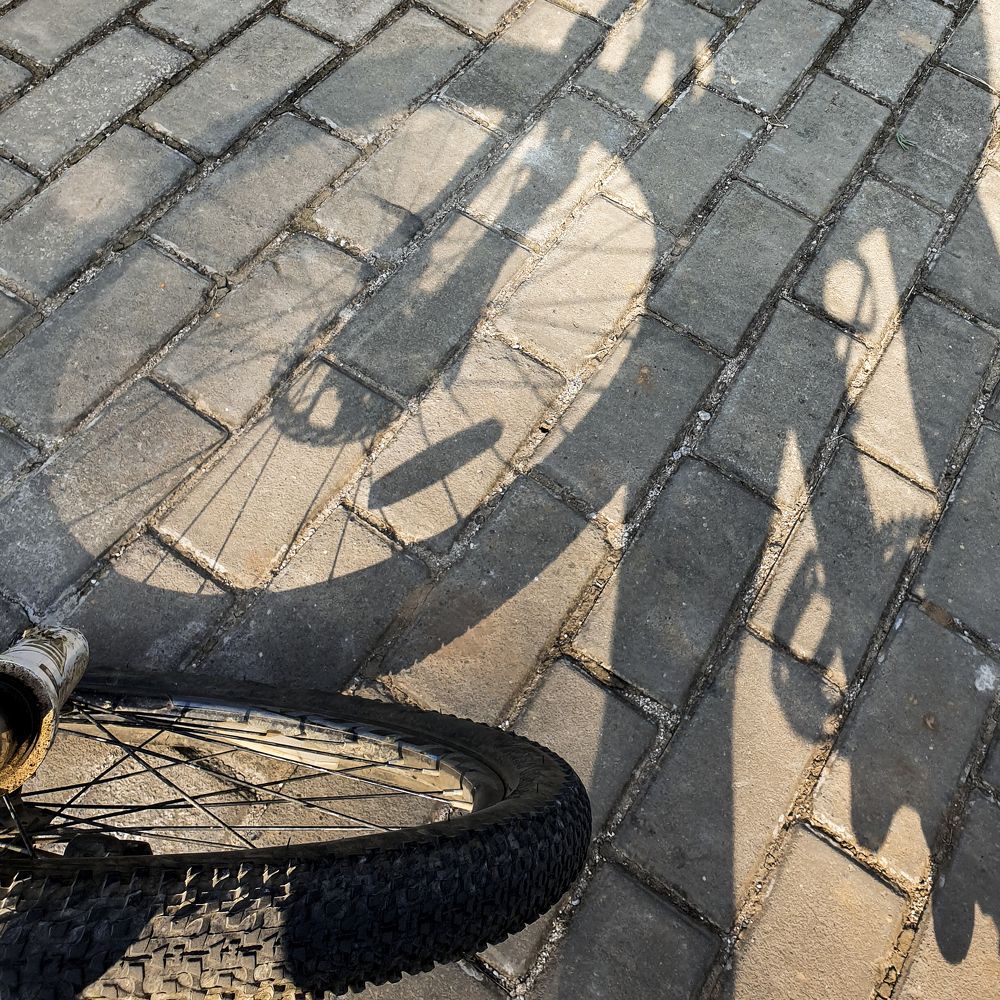 Photograph by Svetlana Zelyanina