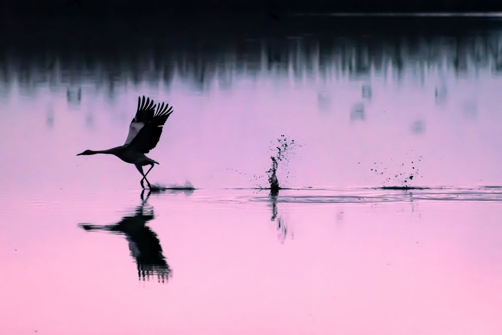 Photograph by Erez Ashkenazi