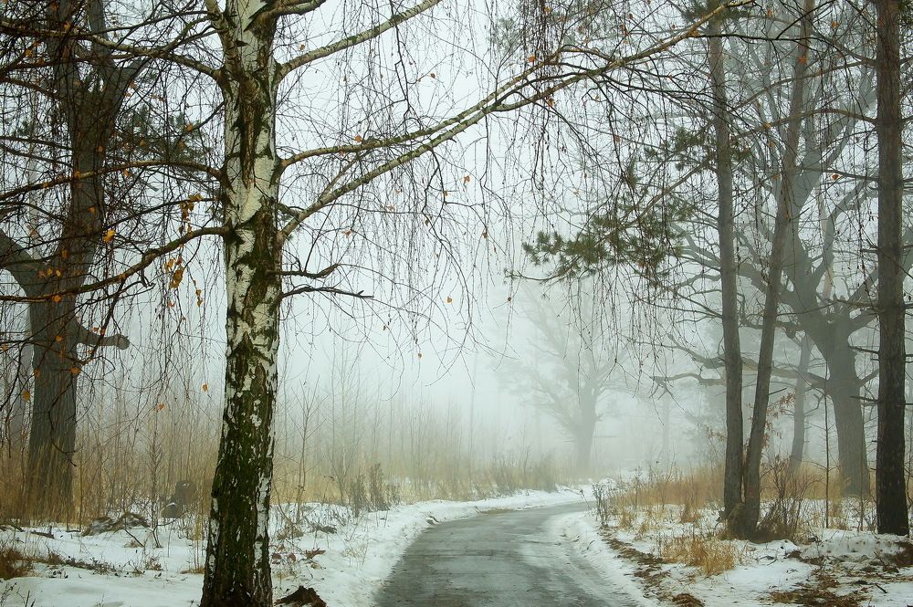 Декабрьская оттепель