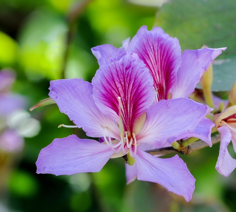 Photograph by Андрей Букин