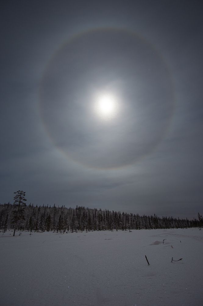 Фотография автора Дмитрий Горнаев