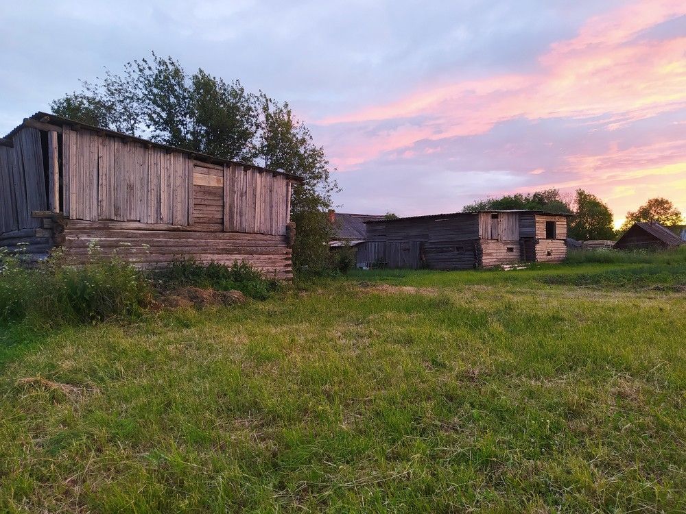 Photograph by София Корепанова