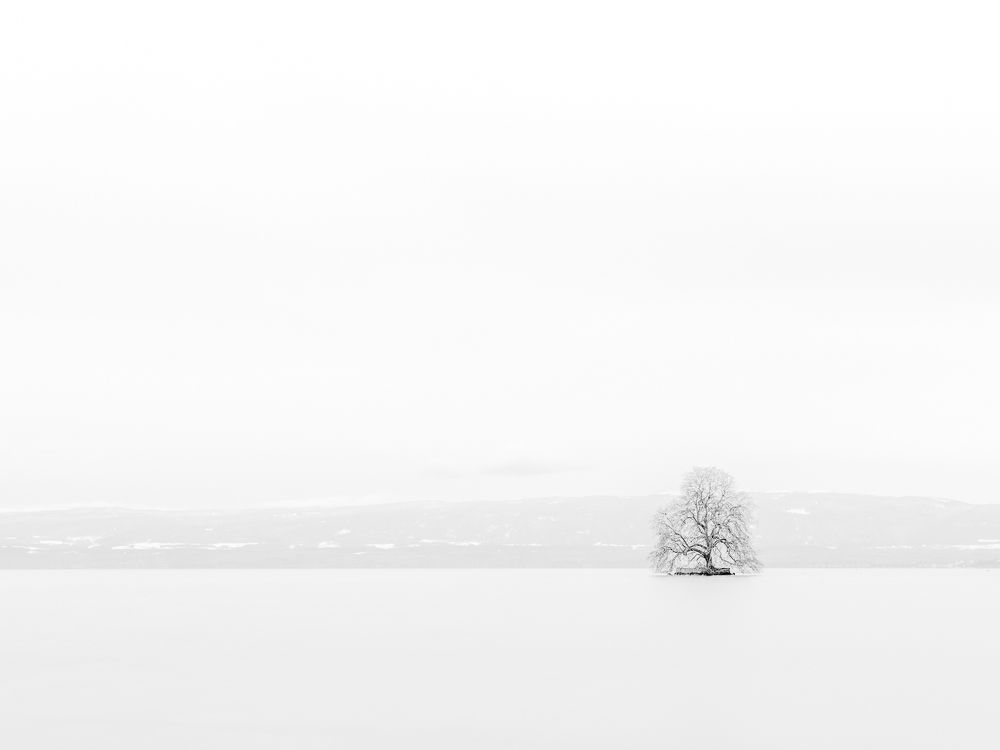 Photograph by Felix Ostapenko