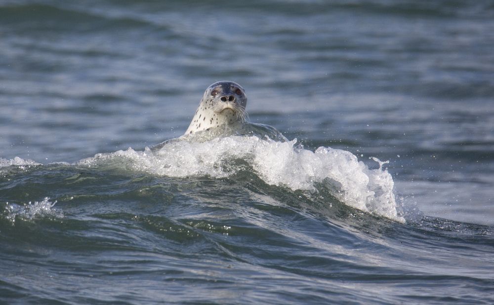 Photograph by Максимов Андрей