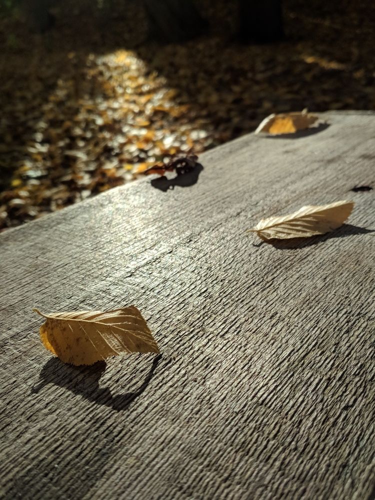 Photograph by Богдан