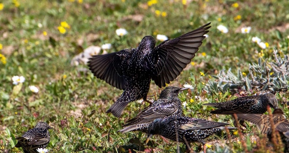 Photograph by Валентина Лопаткина