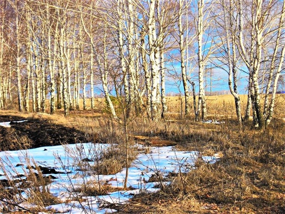 Photograph by Михаил Редин