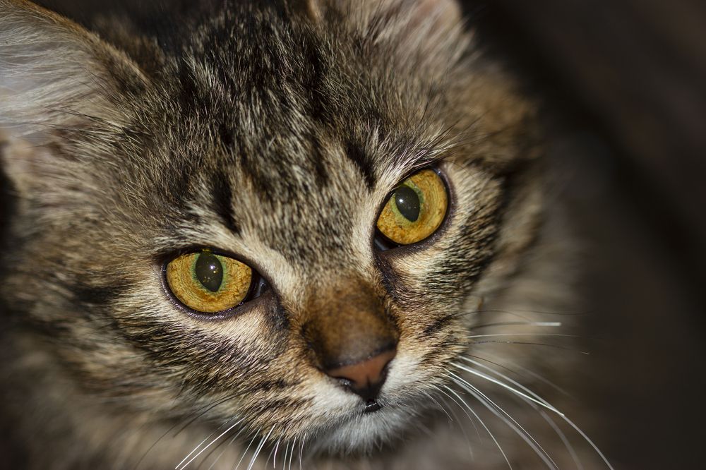 Photograph by Анна-Лаймуте Милошевич