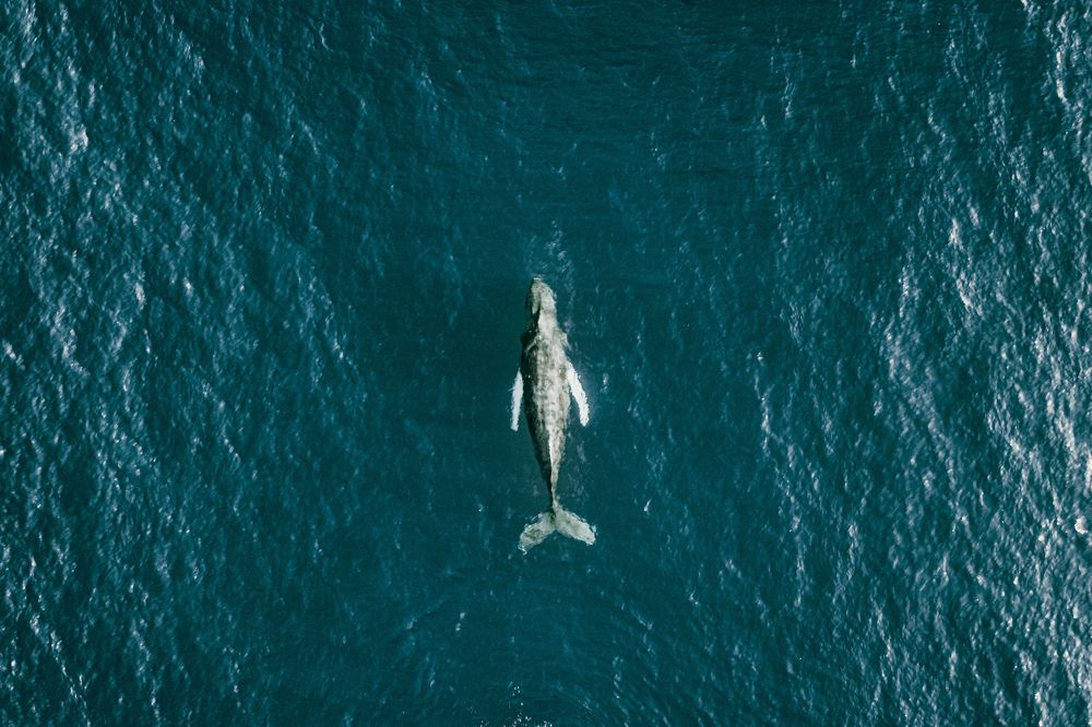 Photograph by Misha Martin