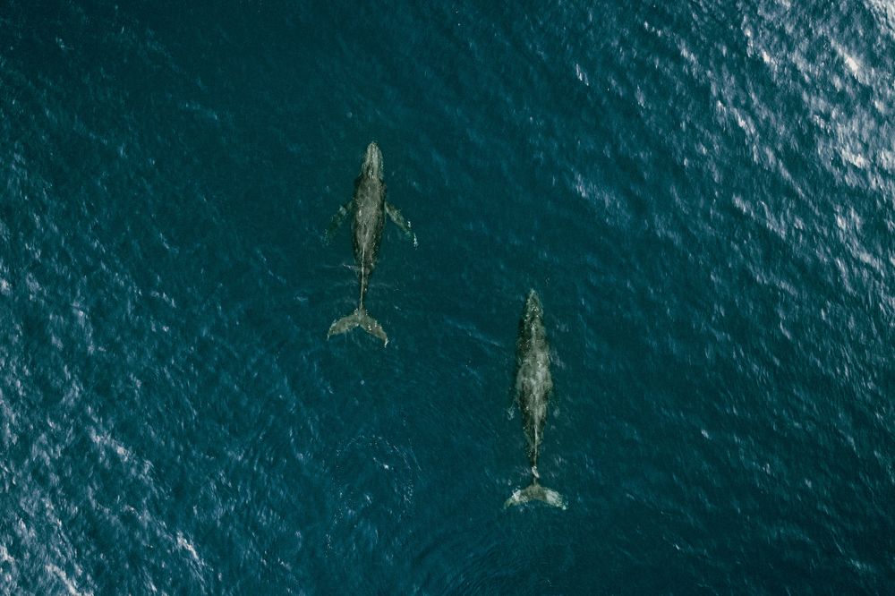 Photograph by Misha Martin