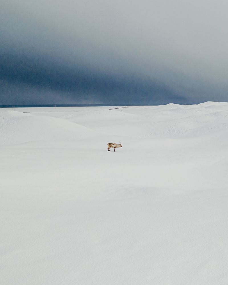 Photograph by Misha Martin