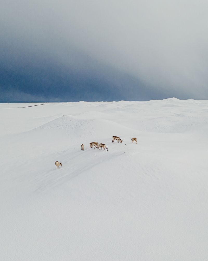 Photograph by Misha Martin