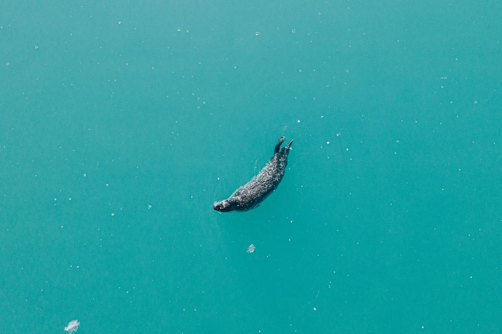 Photograph by Misha Martin