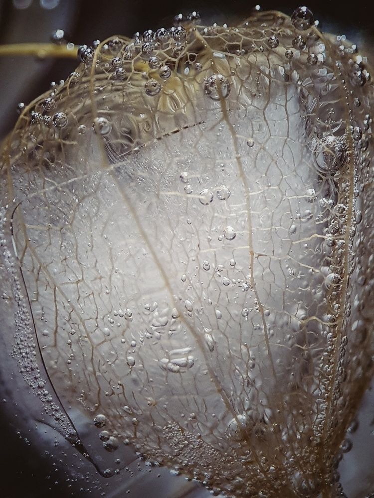 Фотография автора Юлия Таран