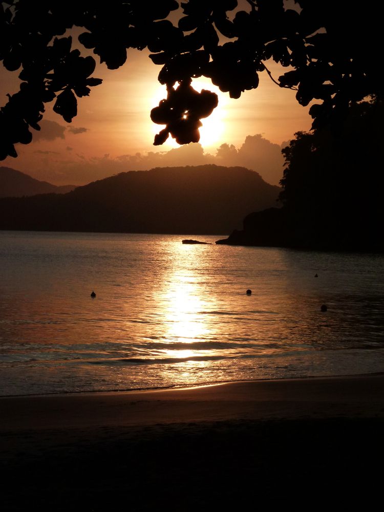 Фотография автора Silvia Tereza Ferrante de Lima