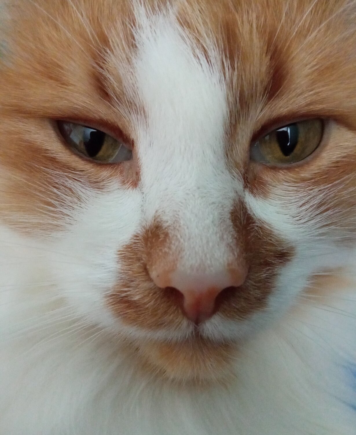 Photo #5913711