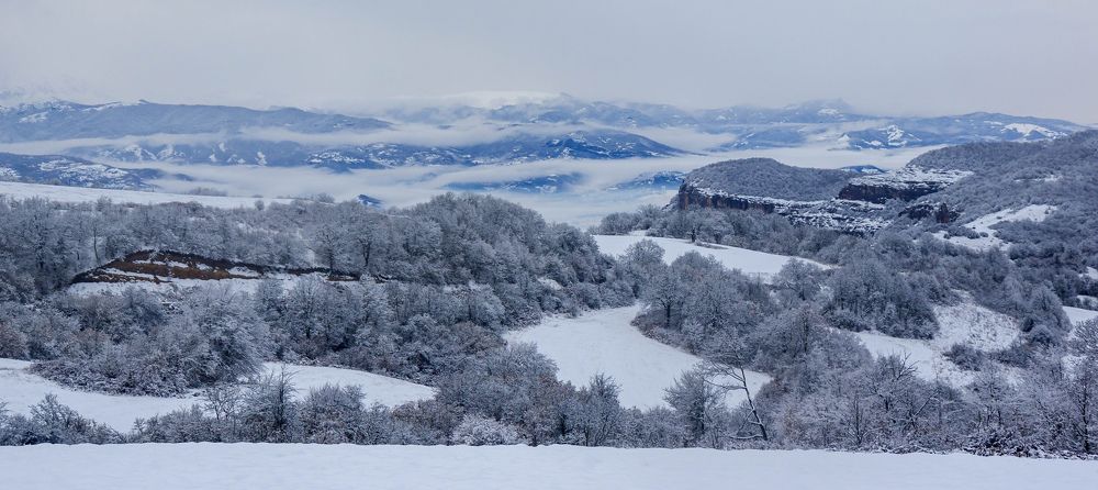 Фотография автора Севак Асрян