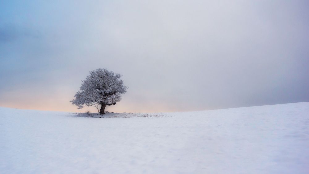 Photograph by Севак Асрян