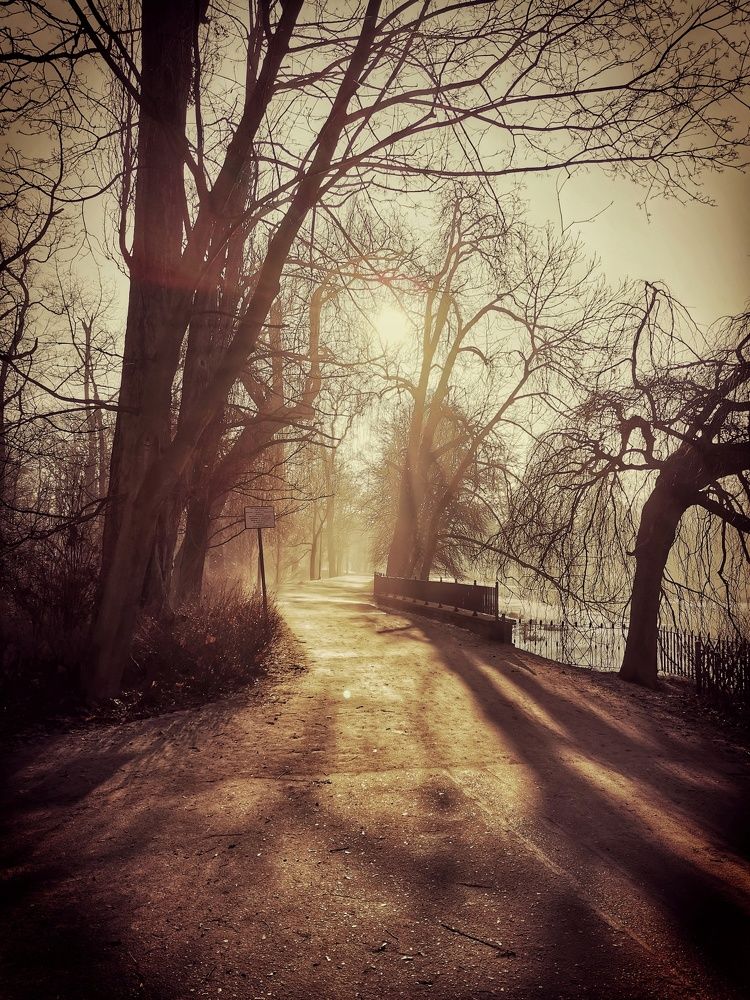 Photograph by Małgorzata Szymańska