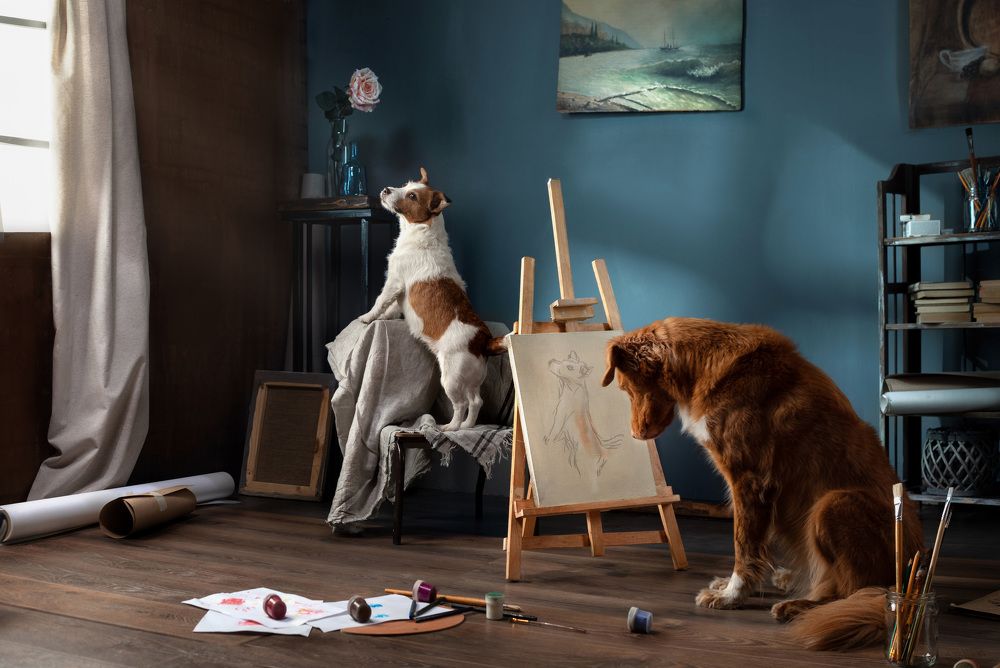 Photograph by Анна Аверьянова