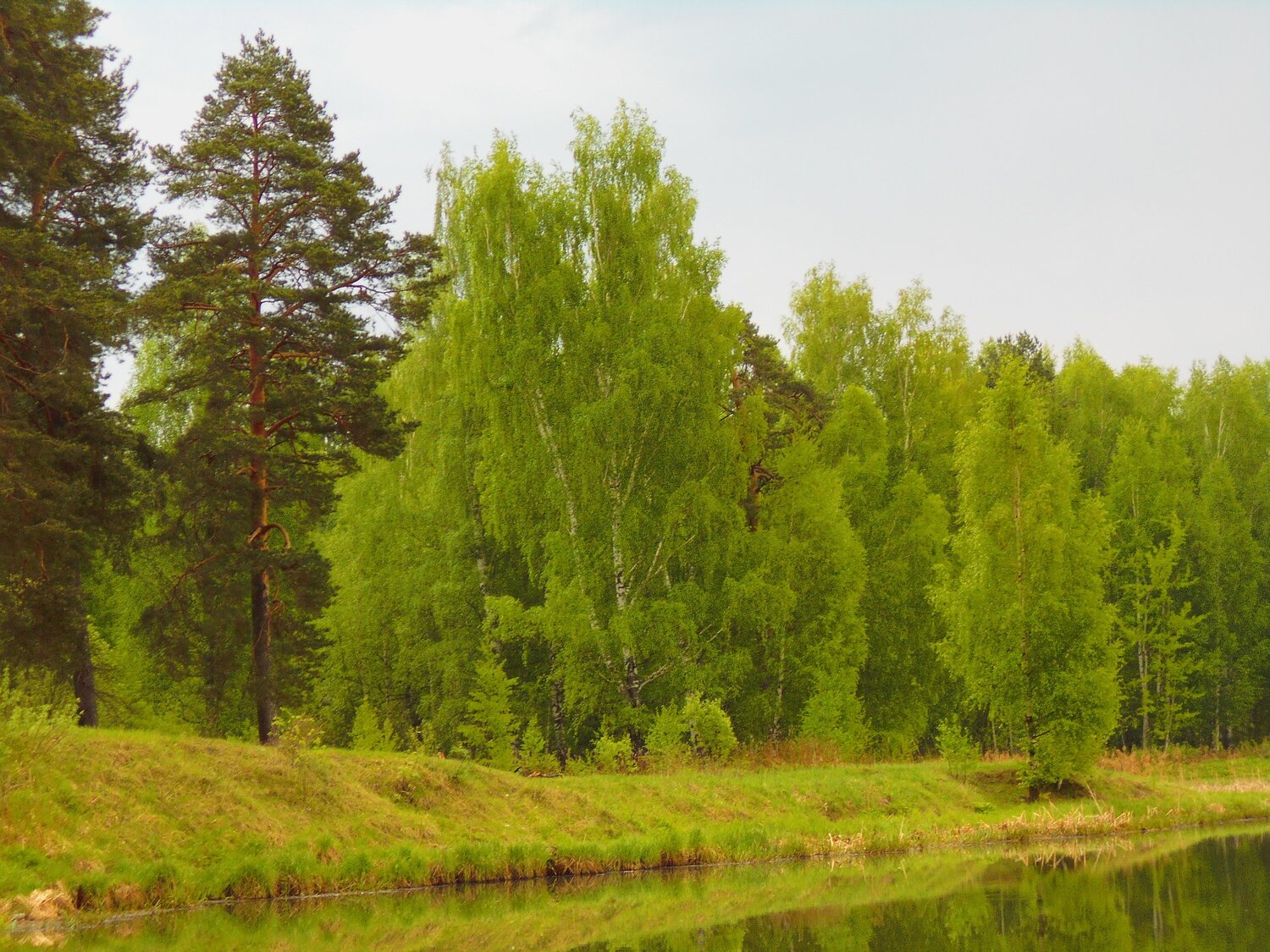 Photo #5913810
