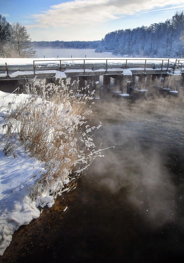 Фотография автора Дарья Мо