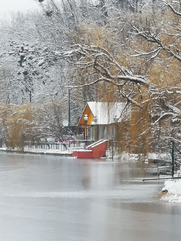 Photograph by Stefan Apostol