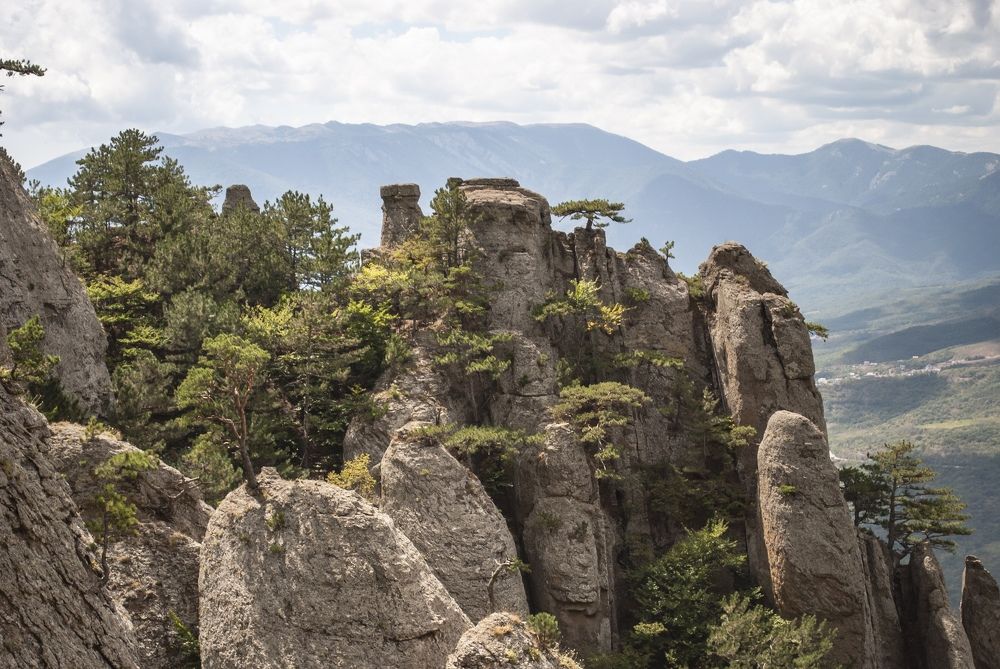 Фотография автора Алексей Самойлов