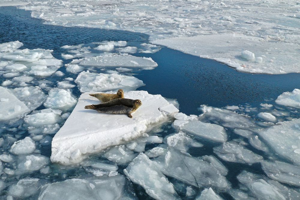 Мать и дитя