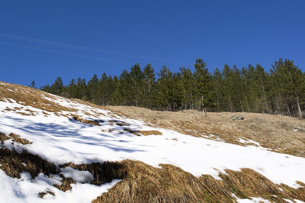 Photograph by Slobodan Miletic