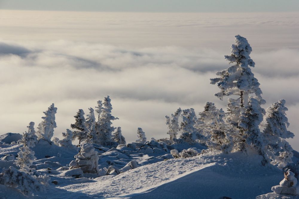 Photograph by Ольга