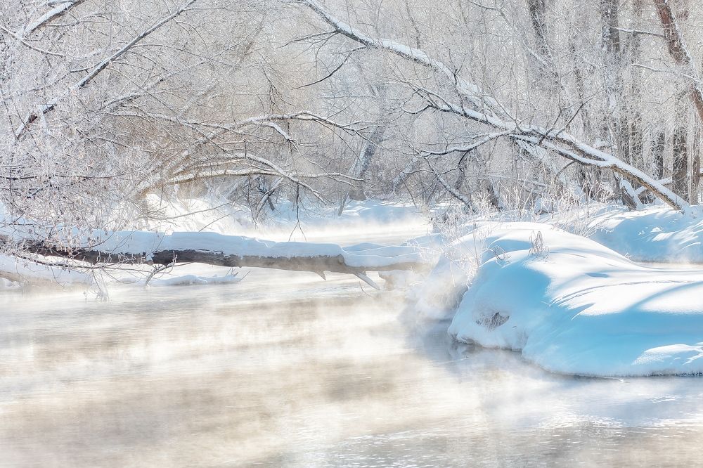 Photograph by Юлия Калугина