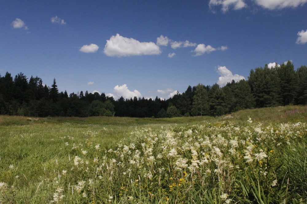 Photograph by Вадим Баронов