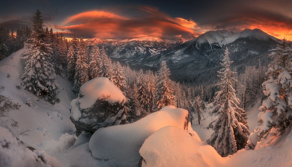 Photograph by Tomasz Rojek