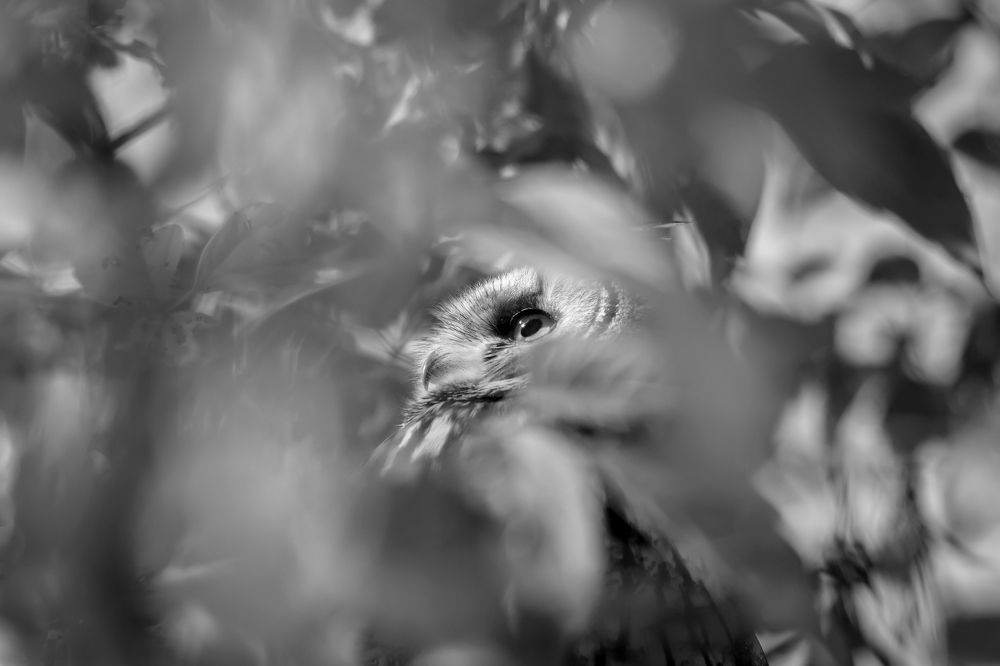 Photograph by Ксения Соварцева