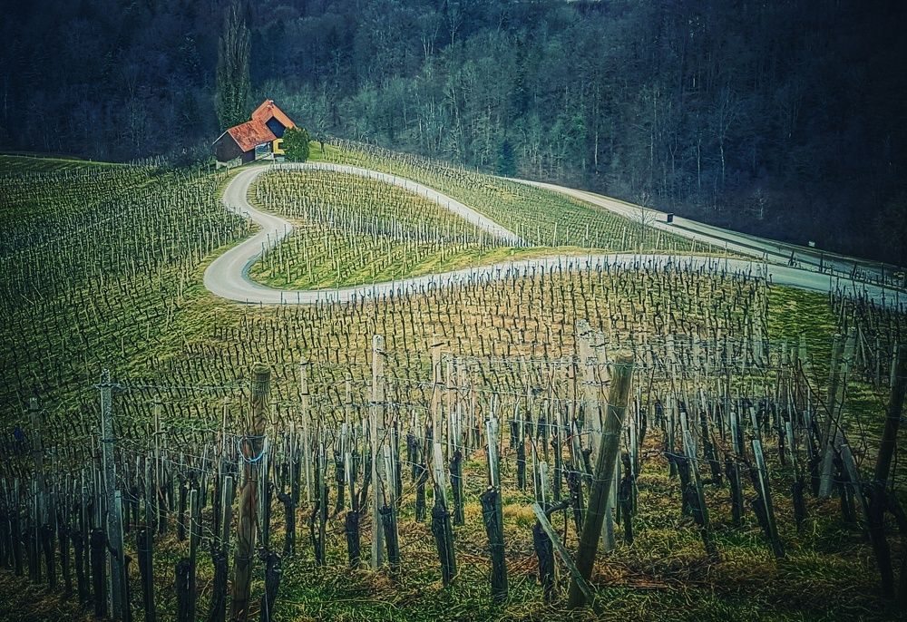 Photograph by Mojca Rebol