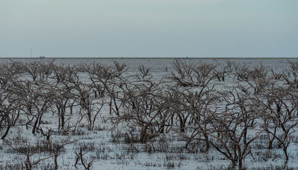 Photograph by Fabio Aristizábal