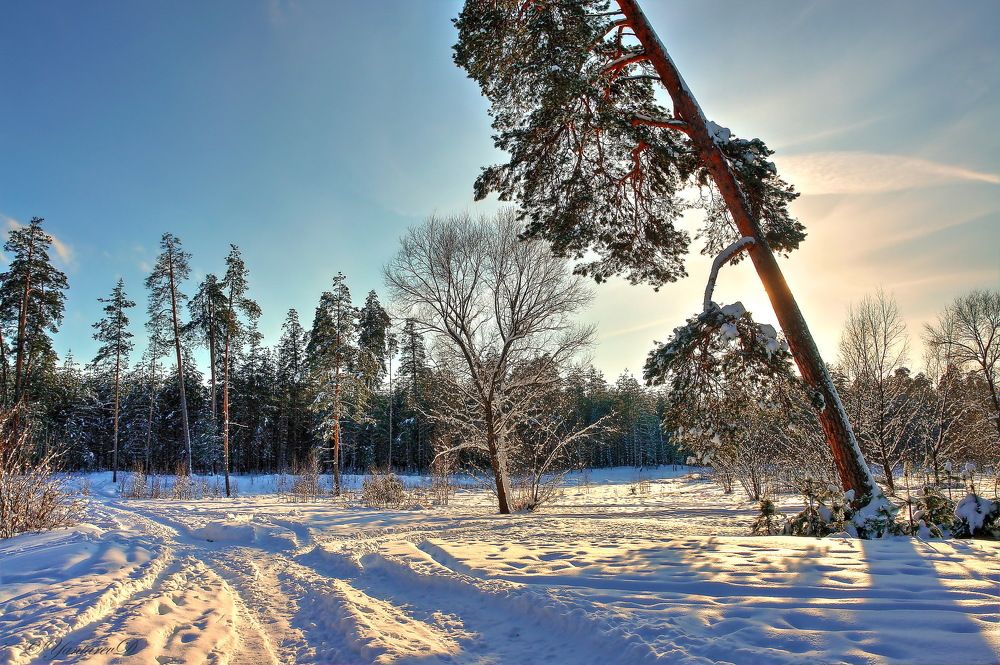 Photograph by Дмитрий Янтарев