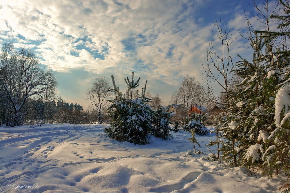 Photograph by Дмитрий Янтарев