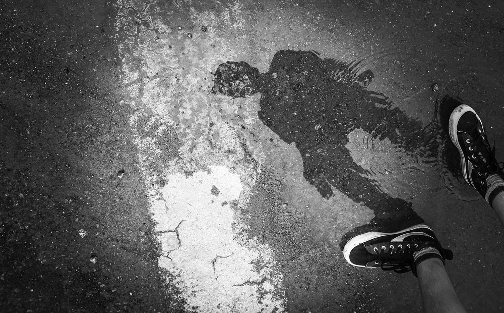 Photograph by Tatiana Barthem