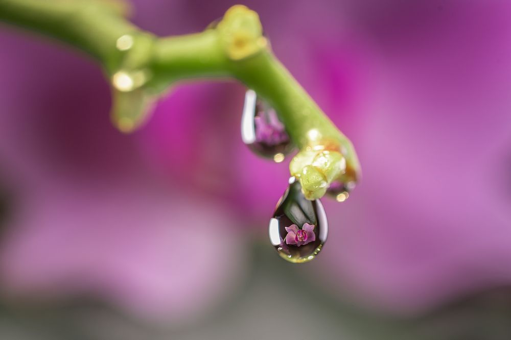 Photograph by Oleksandr Sanin