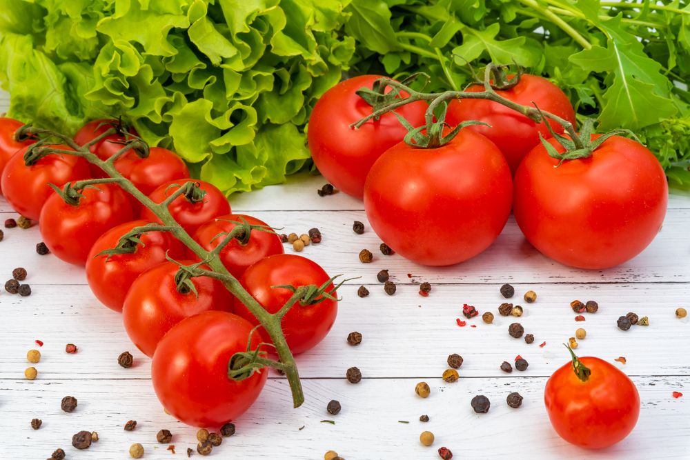 Фотография автора Татьяна Степанова