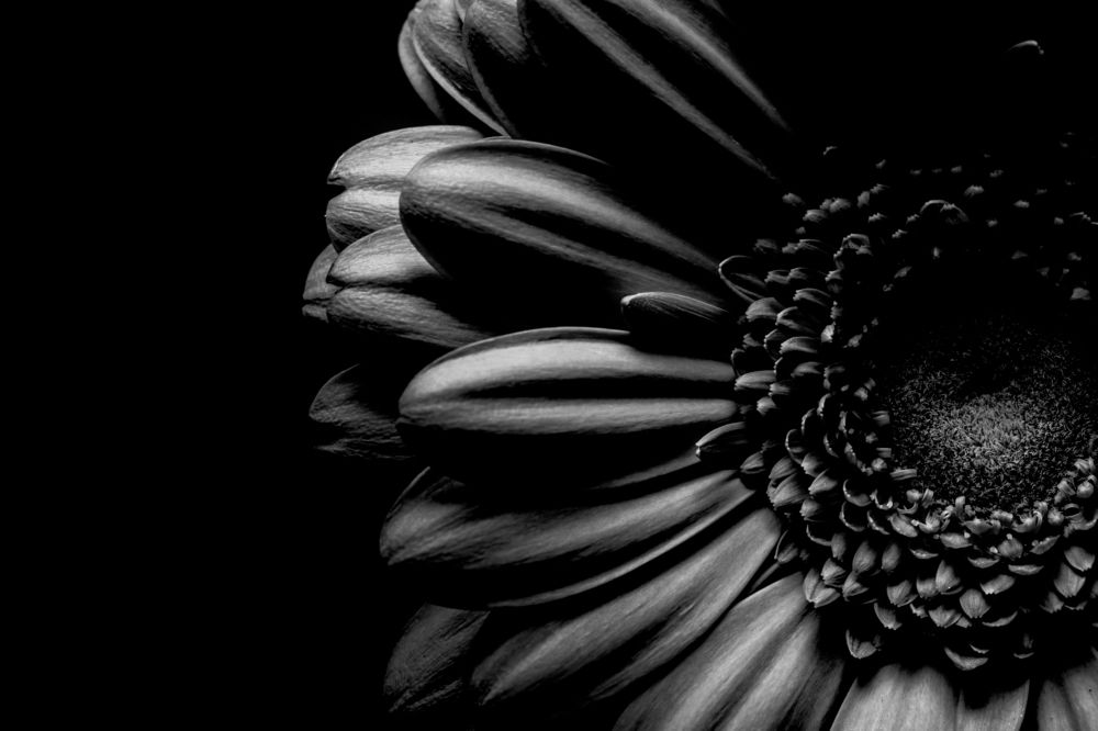 Photograph by Фусс Сергей Александрович