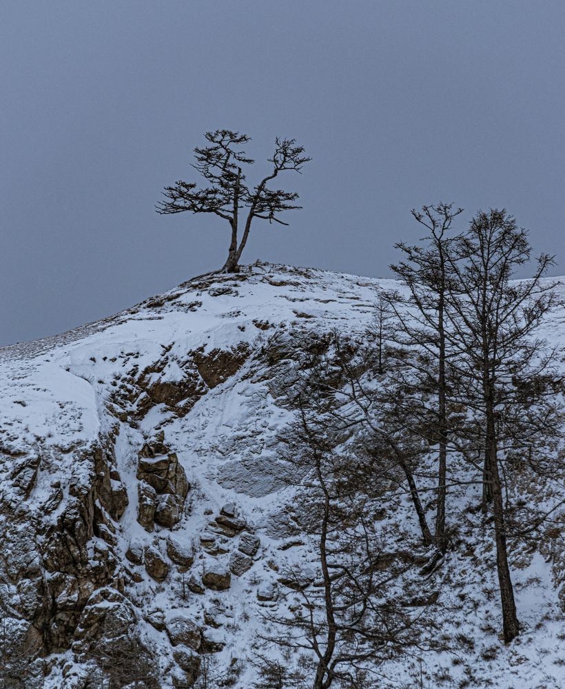 Photograph by Денис Бобр