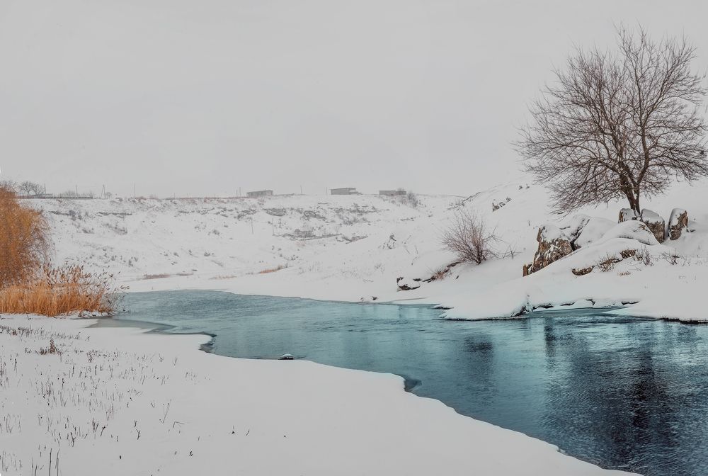 Фотография автора 
