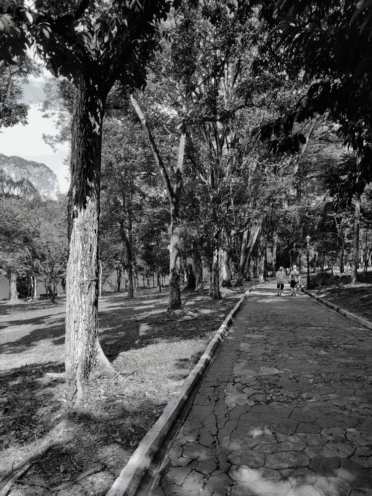 Photograph by Lal Biak Chhunga