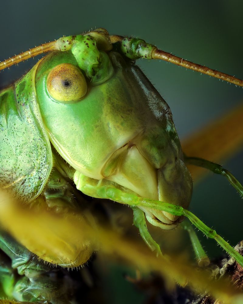 Photograph by Роман Фадеев