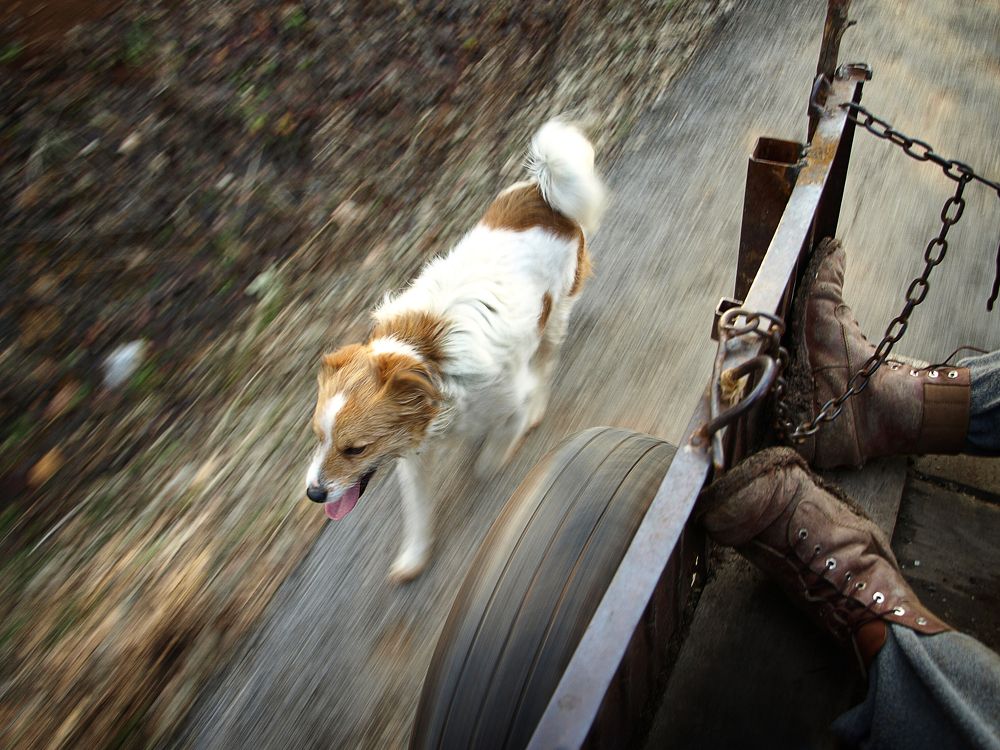 Photograph by Оксана Бабикова